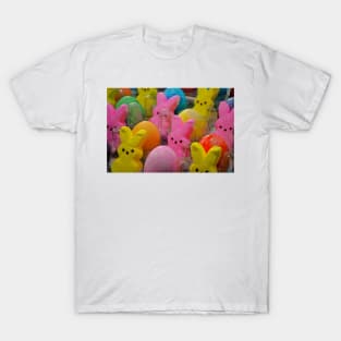 Eggs and Bunnies Study 1 T-Shirt